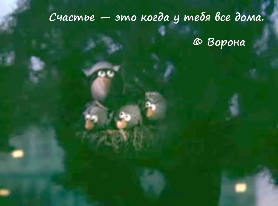Фото с символичным советским мультфильмом, ворона, счастье это когда у тебя все дома