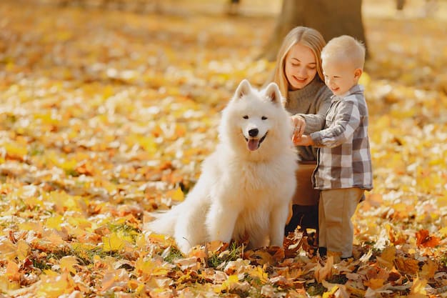 Фотографии с детьми и животными приносят уют и радость в нашу жизнь