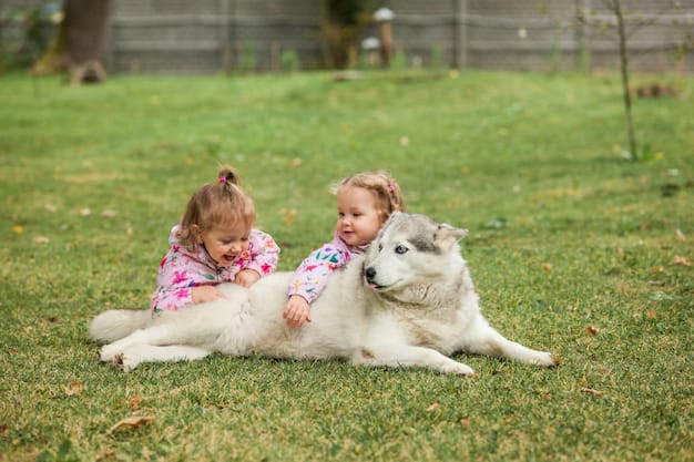 Фотографии детей и животных могут быть забавными и трогательными