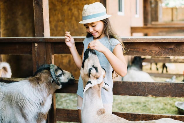 Снимки детей и животных вызывают чувства счастья и радости